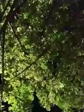 Cam4 Private Sex Chat of Sexylatinogay