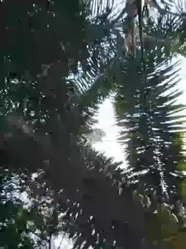 Cam4 Sex Cam of Sexylatinogay