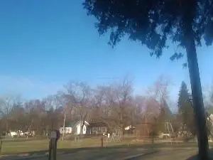 Cam4 Adult Webcam of Steven_Prince87