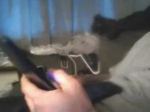 Cam4 Adult Webcams of Steven_Prince87