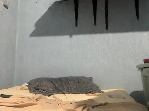 Cam4 Nude Webcam of dannielxlx