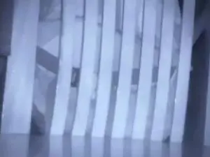 Cam4 Best Webcam of jc83170