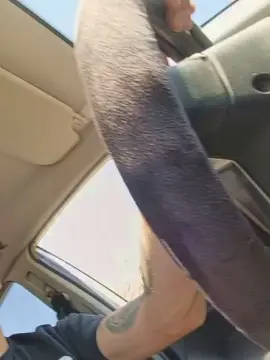 Cam4 Live Sex of SuckmyCock98
