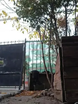 Cam4 Free Porn Cam of Luiy1998_hot