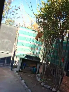 Cam4 Free Porn Cam of Luiy1998_hot