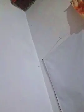 Cam4 Free Porn Cam of 400Paisax