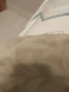 Cam4 Free Live Porn of Karine080606