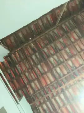 Cam4 Free Porn Cam of gabriel5458