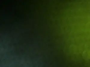 Cam4 Sex Chat of ginaweb