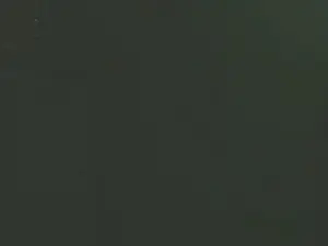 Cam4 Sex Cam of scarlett_rouse