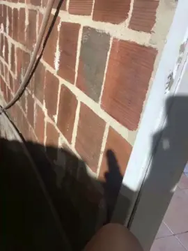 Cam4 Live Sex Cam of Lucasbezerra6