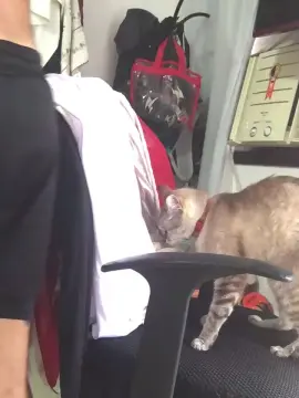 Cam4 Live Sex Cam of AbrahaoLutador