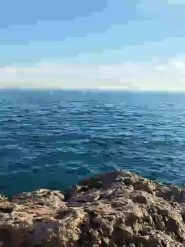 Cam4 Sex Chat of delfin1111