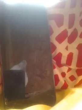 Cam4 Nude Webcam of Nuevo69