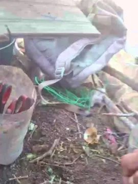 Cam4 Private Sex Chat of Nuevo69