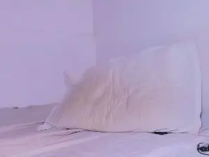 Cam4 Private Sex Chat of davidalejandro_