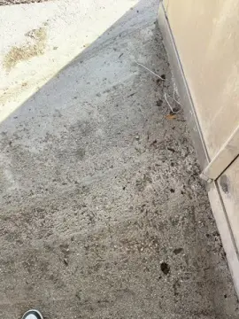 Cam4 Live Sex of lucapublic