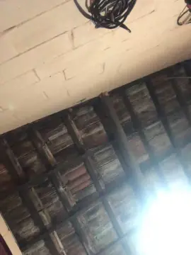 Cam4 Free Live Porn of gabriely8