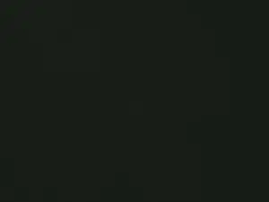 Cam4 Adult Video Chat of podolatra63