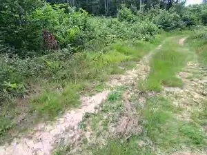 Cam4 Adult Video Chat of remi06