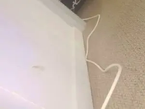 Cam4 Adult Video Chat of manuella19