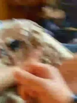 Cam4 Adult Webcam of ferchris43fun