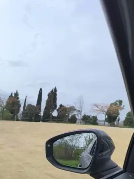 Cam4 Live Porn of Bcnees