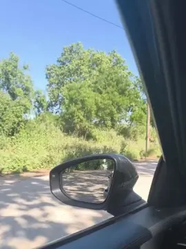 Cam4 Live Porn of Bcnees