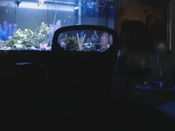 Cam4 Adult Webcam of Latinlover513