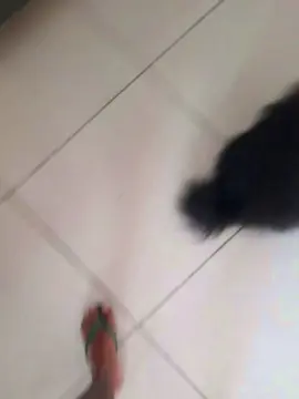 Cam4 Watch Live Sex Cams of recoblue22cm