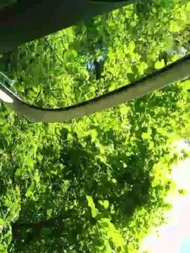 Cam4 Live Porn of landais3