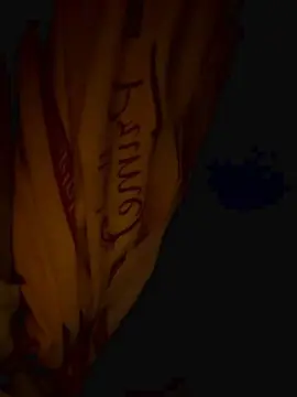 Cam4 Adult Video Chat of meowscarade