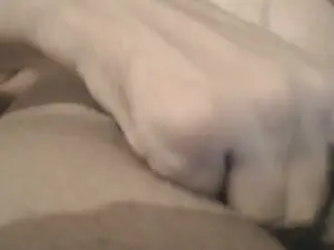 Cam4 Live Porn of kylabunny