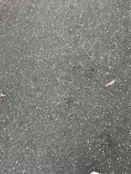 Cam4 Sex Cam of bjornborg