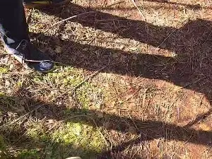 Cam4 Adult Webcams of Cuni40