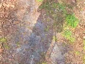 Cam4 Sex Chat of Cuni40