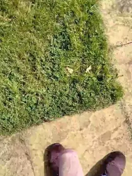 Cam4 Adult Webcams of avalarf