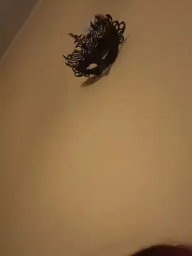 Cam4 Adult Video Chat of briseide2