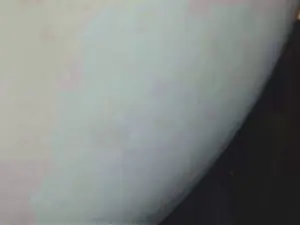 Cam4 Adult Webcam of cumdumpslutuk