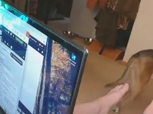 Cam4 Live Sex of neverwinter44