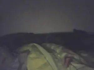 Cam4 Adult Webcam of idefix091