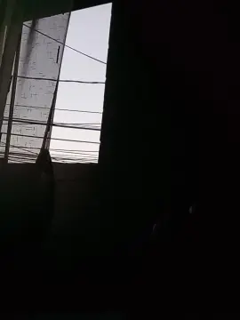 Cam4 Sex Chat of elasfernandohot