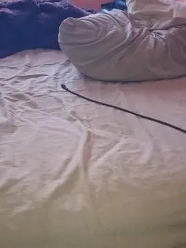 Cam4 Sex Cam of LeoVarn