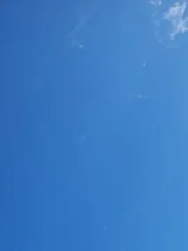 Cam4 Sex Chat of naturist_XL