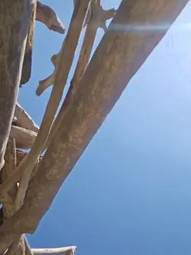 Cam4 Live Porn of naturist_XL