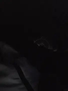 Cam4 Free Porn Cam of likescock5