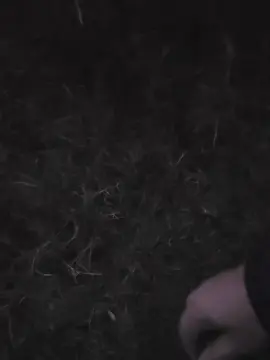 Cam4 Nude Webcam of likescock5