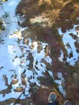 Cam4 Adult Webcam of likescock5