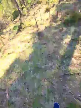 Cam4 Free Porn Cam of likescock5