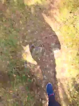 Cam4 Watch Live Sex Cams of likescock5